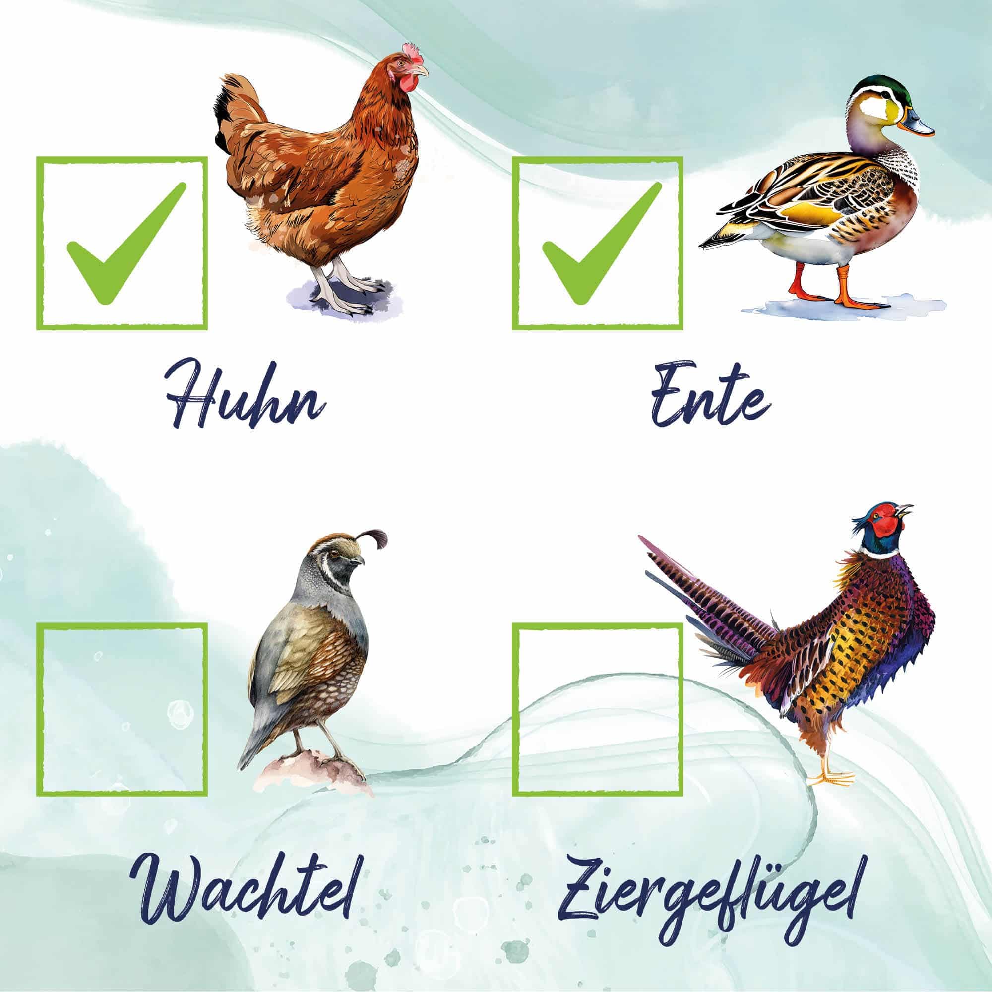 Premium Hühnerfutter, Geflügelkörnerfutter, ohne Gentechnik, mit Oregano-Öl und Pfefferminz-Öl, 25 kg
