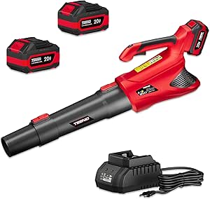 Souffleur De Feuilles Sans Fil - ROLEADER - 21V - 5.7 KPa - 1500mAh Batterie - Vitesse Réglable