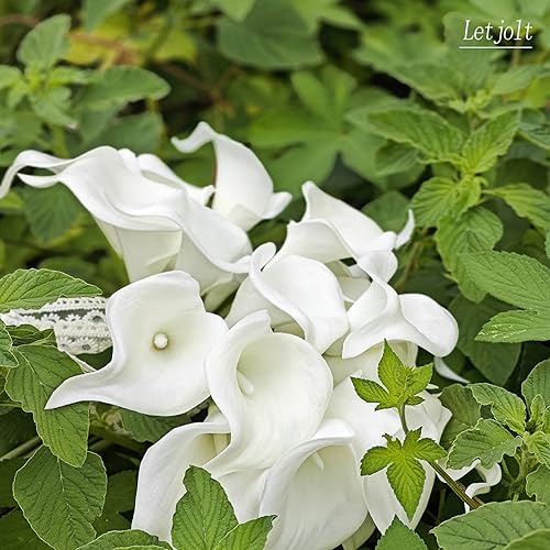 Miniatura 3 de Letjolt Ramo de flores artificiales de lirio de cala blanco, 20 unidades, para boda, novia, ducha, bendición, decoración del hogar, flores de lirios
