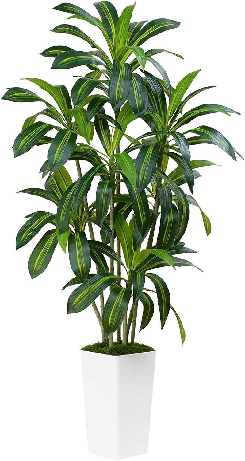 Dracaena Plant Artificial Tree 6Ft Tall Fake Tropical Floor Plants Potted (Real Touch) Artificial Silk Tree Leaf Faux Trees White Tall Planter for Home Office Living Room Indoor Outdoor Decor