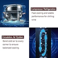 Vista 6 de Winado Refrigerador de vino con compresor de 12 botellas con temperatura ajustable, mini refrigerador de vino compacto independiente con control