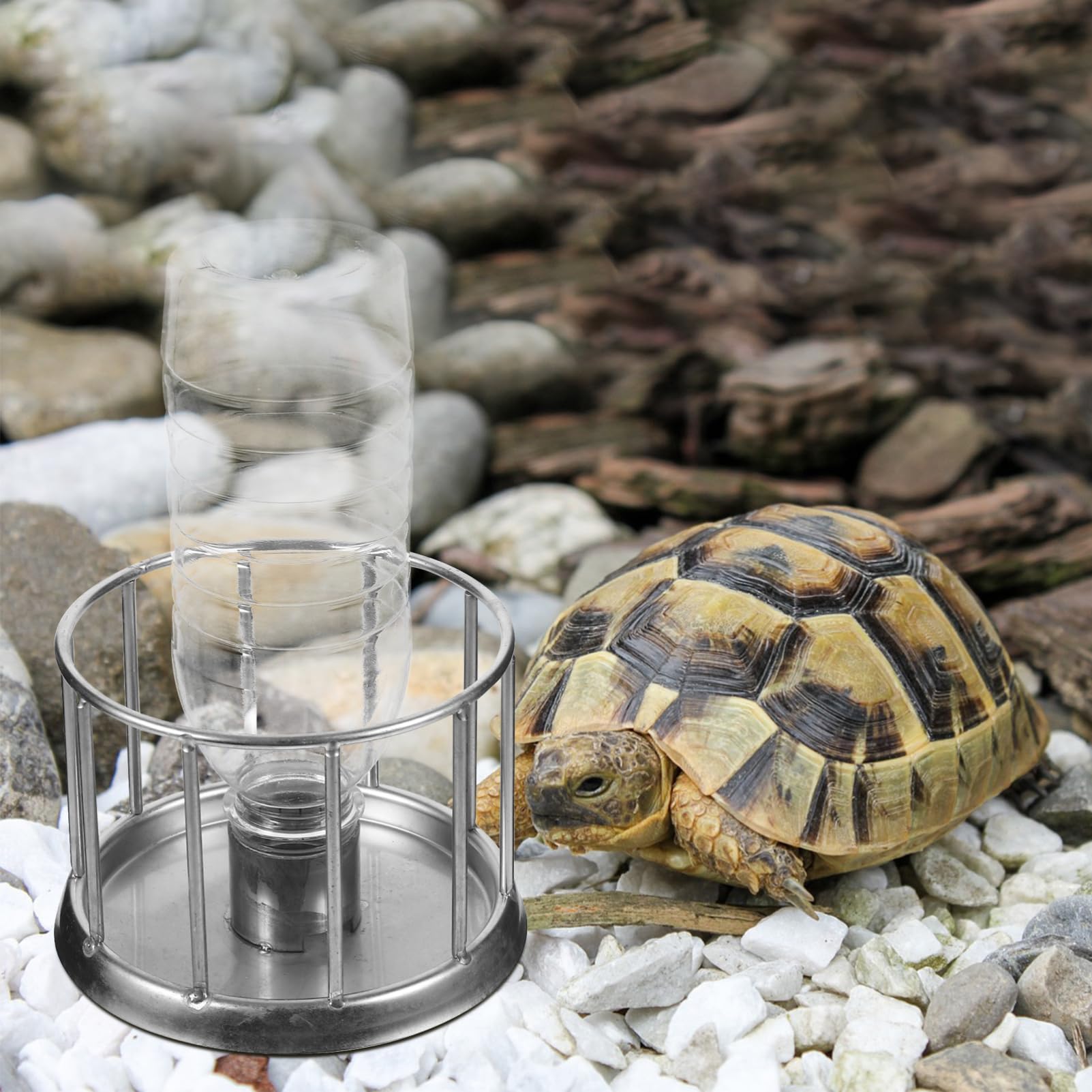 Yardwe 5 Uds Alimentador De Agua para Cuenco De Comida para Reptiles Comedero De Metal para Reptiles Cuenco para Beber Agua para Mascotas Alimentador De Cuenco De