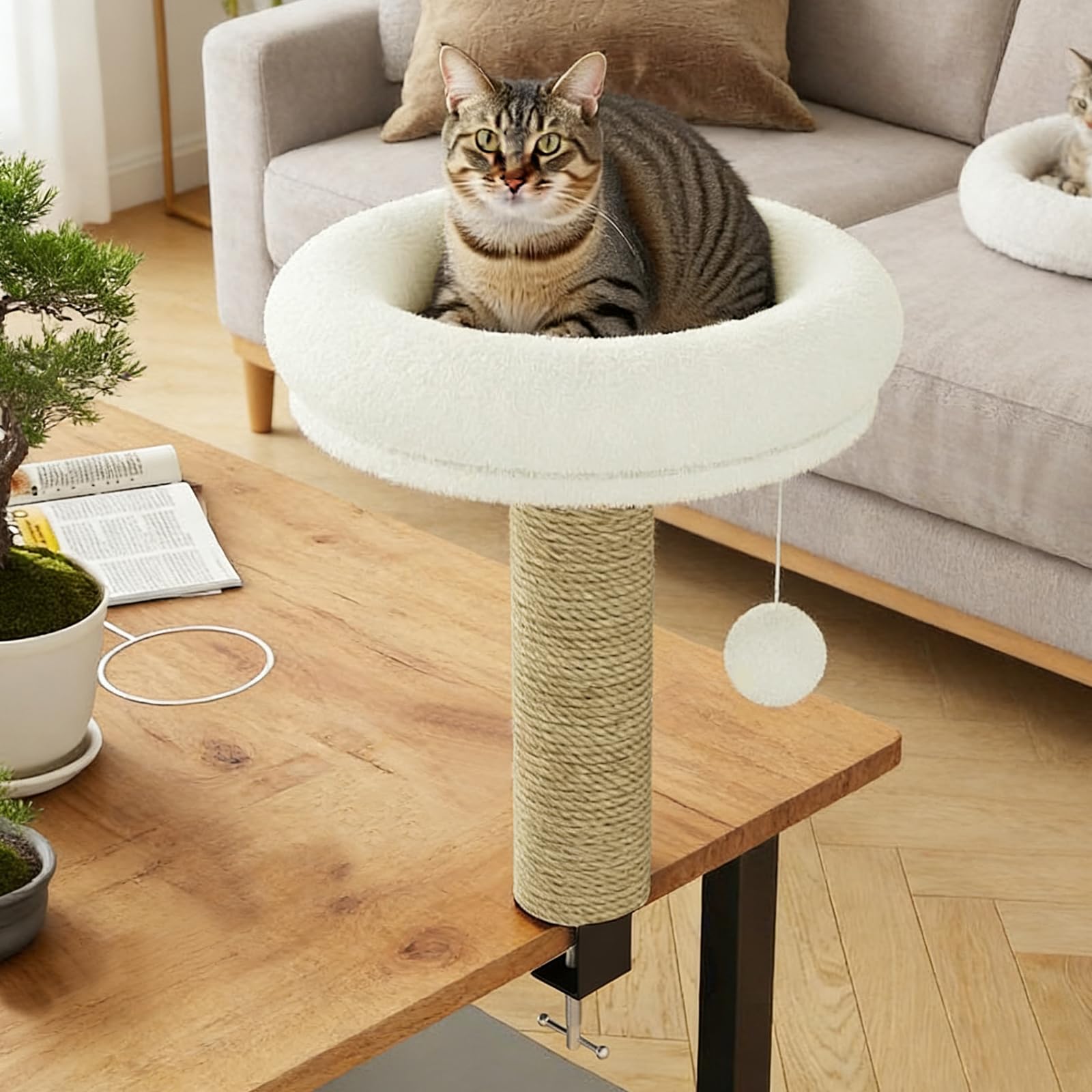 Katze Bett für Dest, Katzes Schreibtisch Bett mit Scritching Post, Platzsparende Katze Möbel, Perch und Hängematte mit Spielball, waschbares Kissen für Heim und Büro Schreibtisch (weiß)