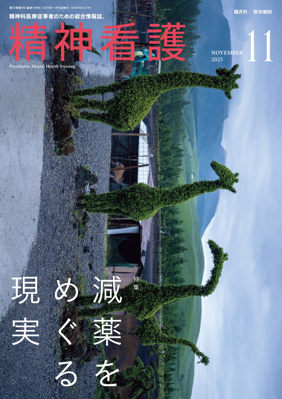 精神科看護 2025年 12冊セット 精神看護2025年11月号 減薬をめぐる現実 | 医学書院 |本 | 通販 | Amazon