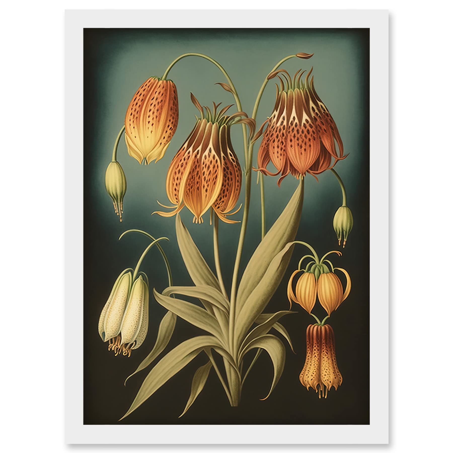 Fritillaria Flower Plant Print - Ernst Haeckel Inspired - Modern Watercolour Art - Framed Wall Art A4