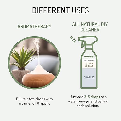 Miniatura 5 de Eve Hansen Aceite esencial de eucalipto orgánico certificado por USDA, 4 onzas, aceite esencial tópico y de aromaterapia, aceite de eucalipto
