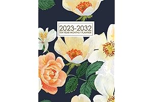 10 Year Journal 2023-2033: Monthly Planner Agenda Organizer