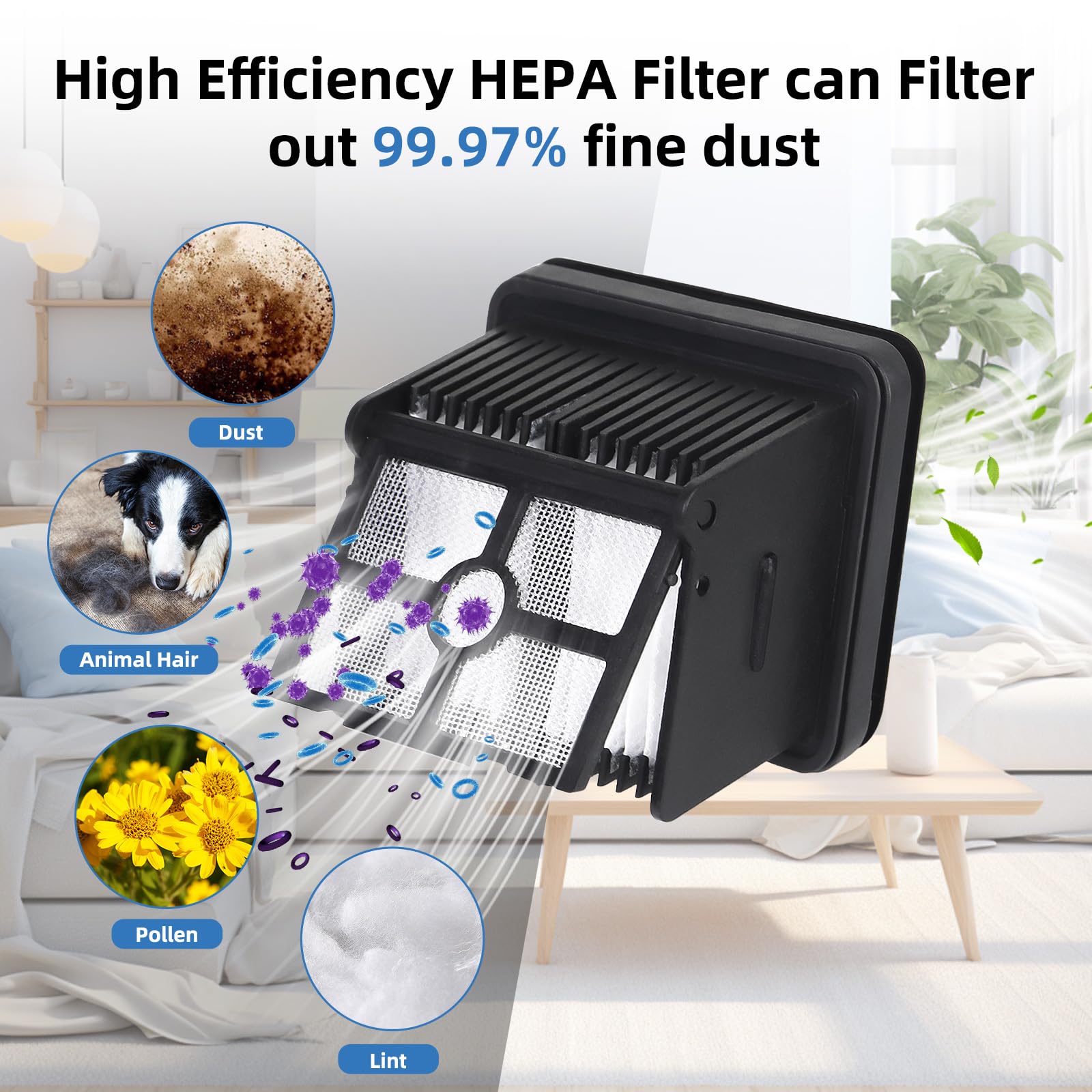Jegehoyo Zubehörset für DREAME H12 Pro FlexReach/H15 Pro/H15 Pro FoamWash/H15S/H15 Mix Nass- und Trockensauger mit Saugleistung Zubehör, 2 Bürstenrollen 3 HEPA-Filter 1 Reinigungsbürste Jegehoyo Zubehörset für DREAME H12 Pro FlexReach/H15 Pro/H15 Pro FoamWash/H15S/H15 Mix Nass- und Trockensauger mit Saugleistung Zubehör, 2 Bürstenrollen 3 HEPA-Filter 1 Reinigungsbürste