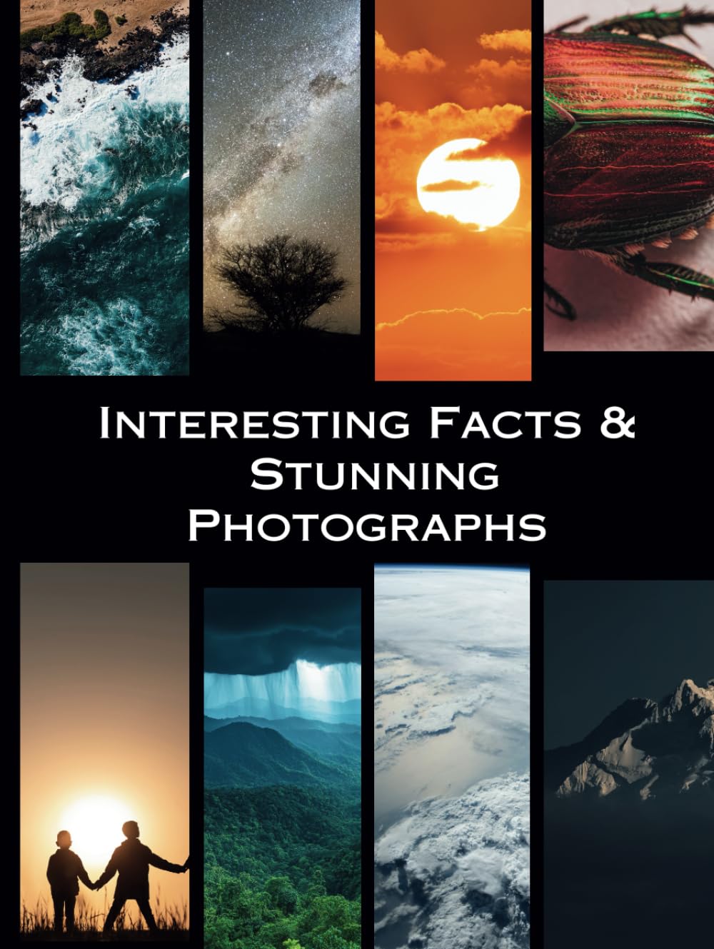 Faits intéressants et photos sublimes : le livre cadeau idéal pour Noël