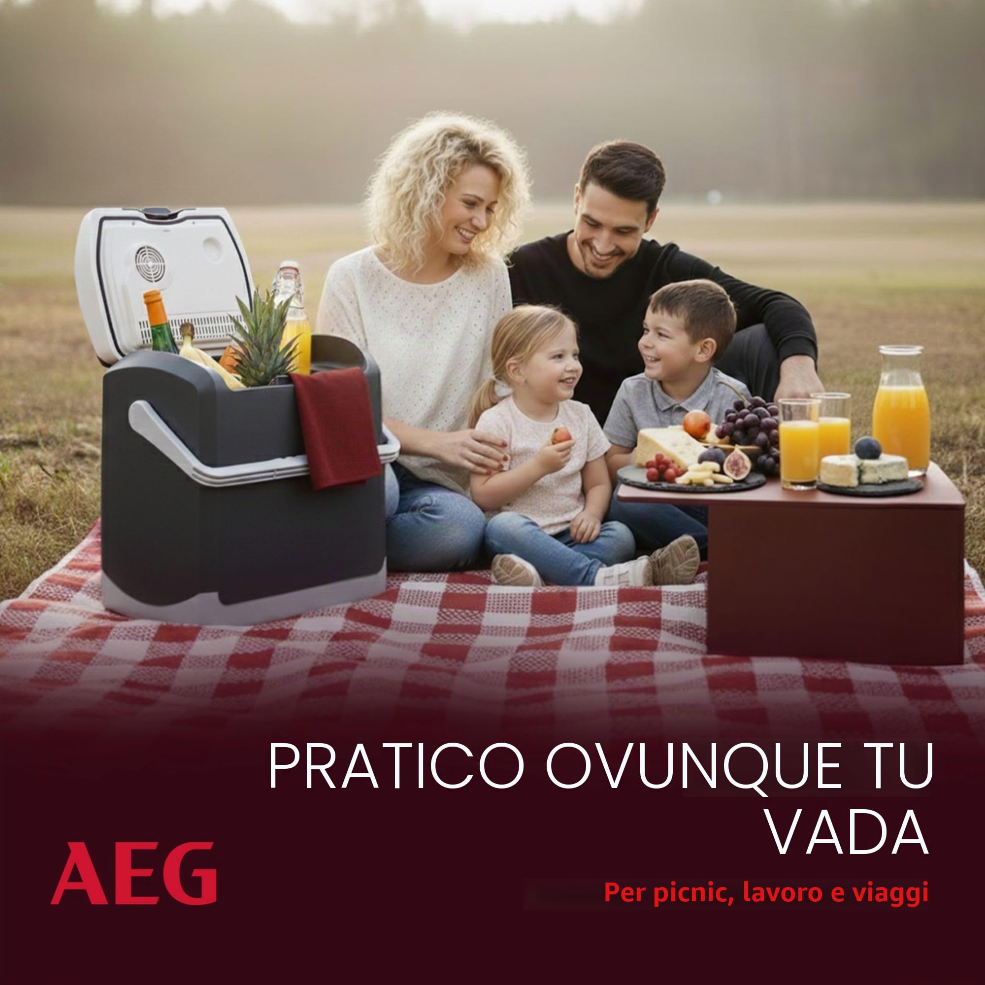 AEG Automotive Thermoelectric Cool Box KK 20 Litri, 12/230 Volt per Auto e Presa, Grigio