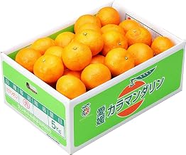 Mikan Mikan Ripe Spring Mandarin 0 Grade 0.4 gal (2 L) - S, 11.0 lbs (5 kg), JA Ehime Chuo, Nakajima Selection Plant, Mikan Orange