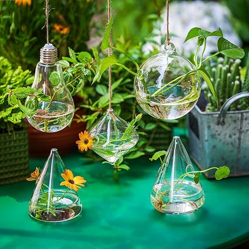 Miniatura 9 de Glasseam Macetas colgantes terrario de cristal: 5 estaciones modernas de propagación de plantas, jarrones hidropónicos de pared para plantas de