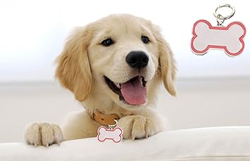 Sage Square Bone Shape Collar Tag Pendant for Dog/Puppy/Kitten/Cat (Red)