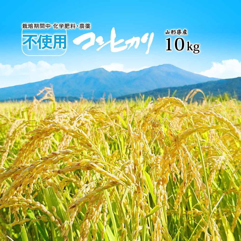 ひまわり 無農薬コシヒカリ無洗米10kg(5kg×2)令和6年産 コシヒカリ 無洗米 10kg 送料無料 令和6年産 福島県会津産