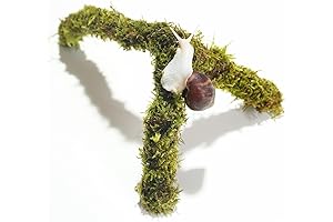 12 Inch Pet Snail Climbing Toy: A Haven for Climbing Snails