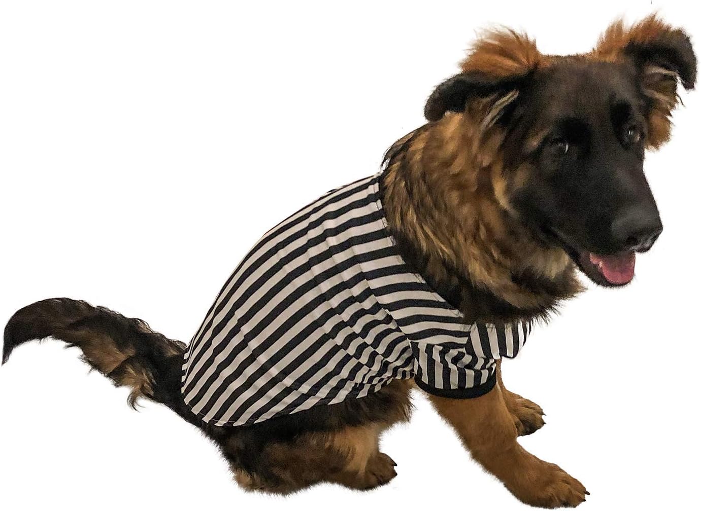 Midlee Referee Dog Halloween Costume (XLarge) Amazon.ca Pet Supplies