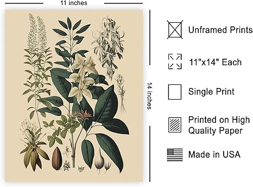Miniatura 532 de Poster Master Póster vintage de orquídea, estampado de flores retro, arte de pared de plantas exóticas, arte botánico, regalo para hombres y
