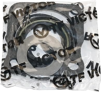 IAP Performance 111598051A Rear axle seal kit Compatible with Select Volkswagen Type 1 Standard Beetle 1950-1968, Bus 1950-1967, Karmann Ghia 1955-1968, Type 3 Squreback, Notchback, Fastback 1961-1968