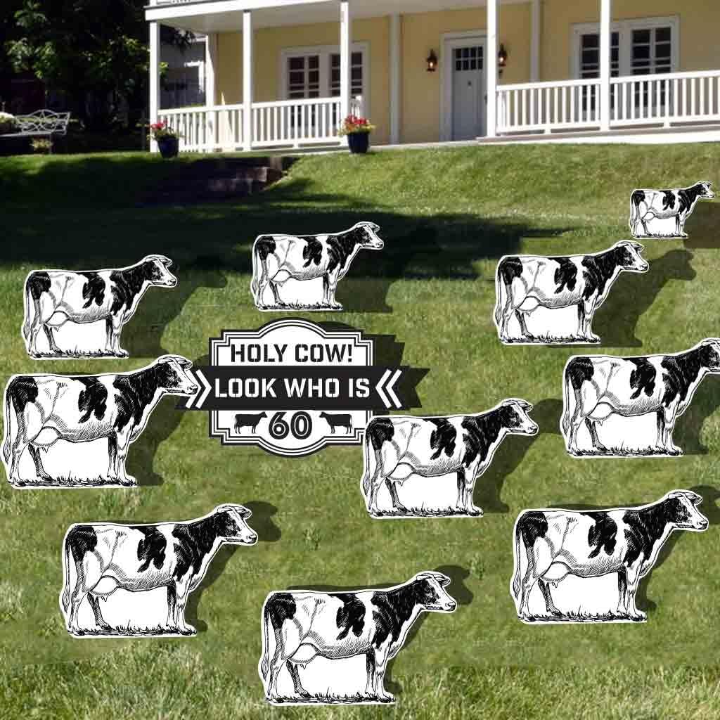 VictoryStore Yard Sign Outdoor Lawn Decorations: Birthday Yard Decoration, “Holy Cow! Look Who Is 60”, Set of 11 with 12 Short Stakes
