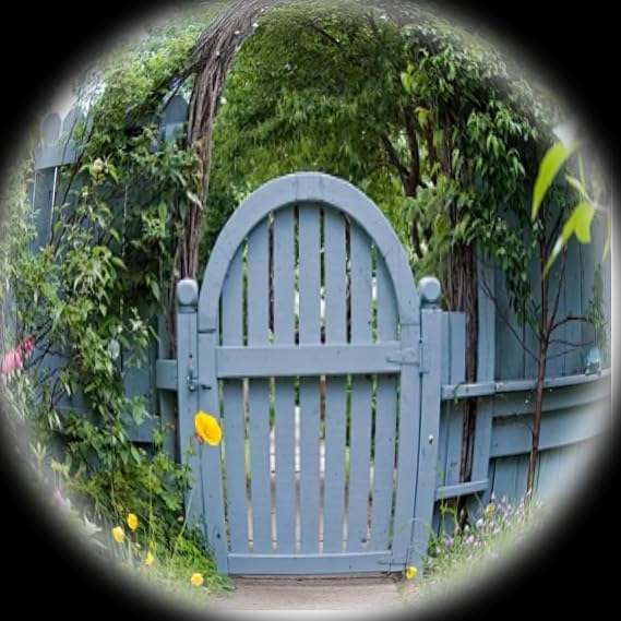 Door Viewer Peephole, Privacy, Black