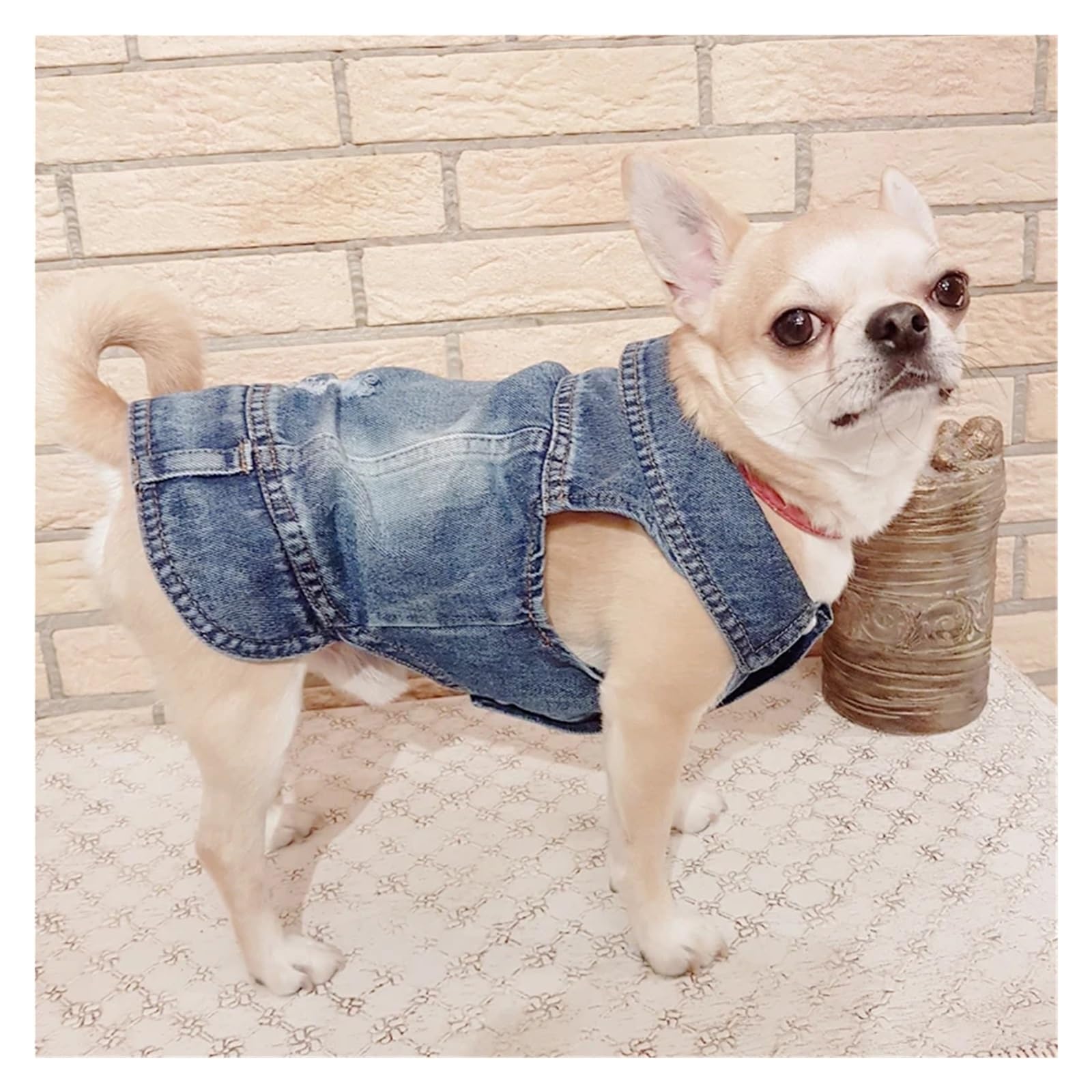 Manteau en jean pour chien de petite et moyenne taille, veste de cowboy élégante avec bretelles réglables, gilet mignon pour animal de compagnie pour chiens et chats, tailles XS à 2XL, tenue en jean