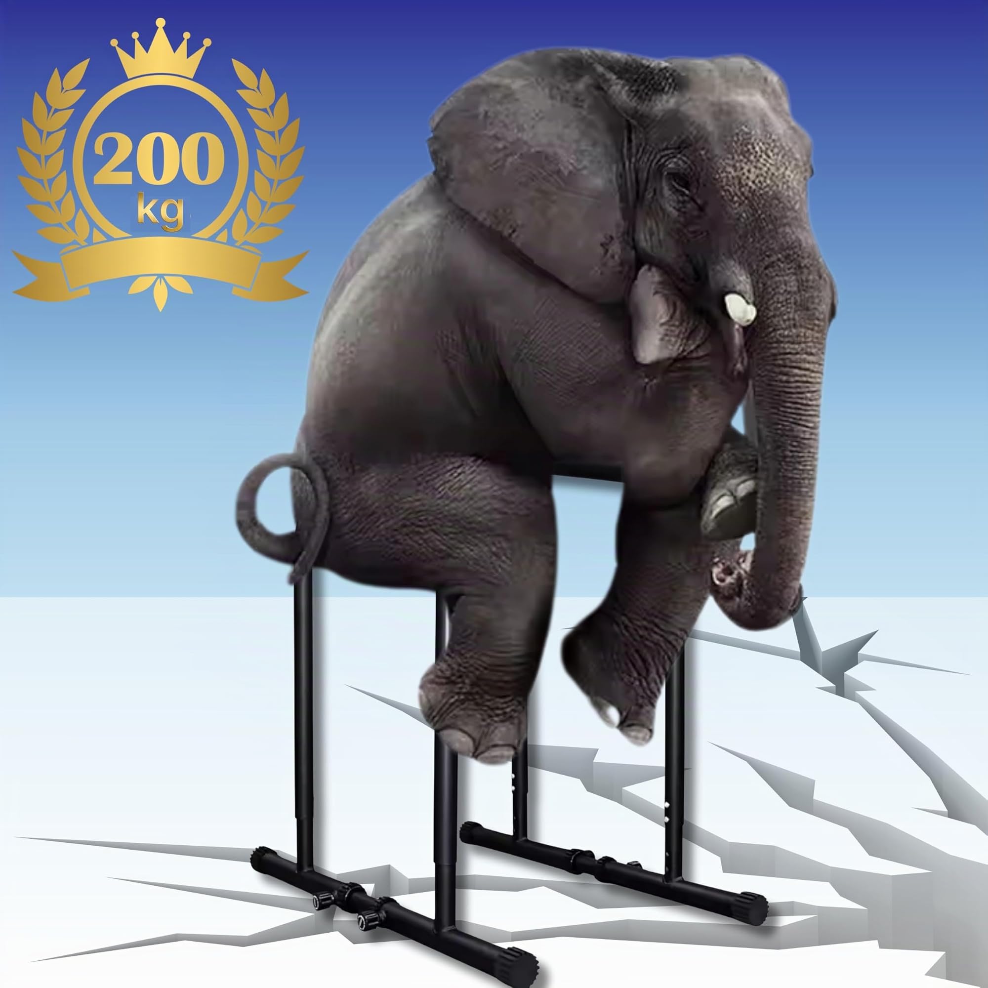 Barre Parallele Calisthenics Regolabili – Attrezzi per Calisthenics e Fitness a Casa – Ideali per Dips, Flessioni, Pull-Up e Push Up – Design Compatto e Robusto per Allenamento Completo