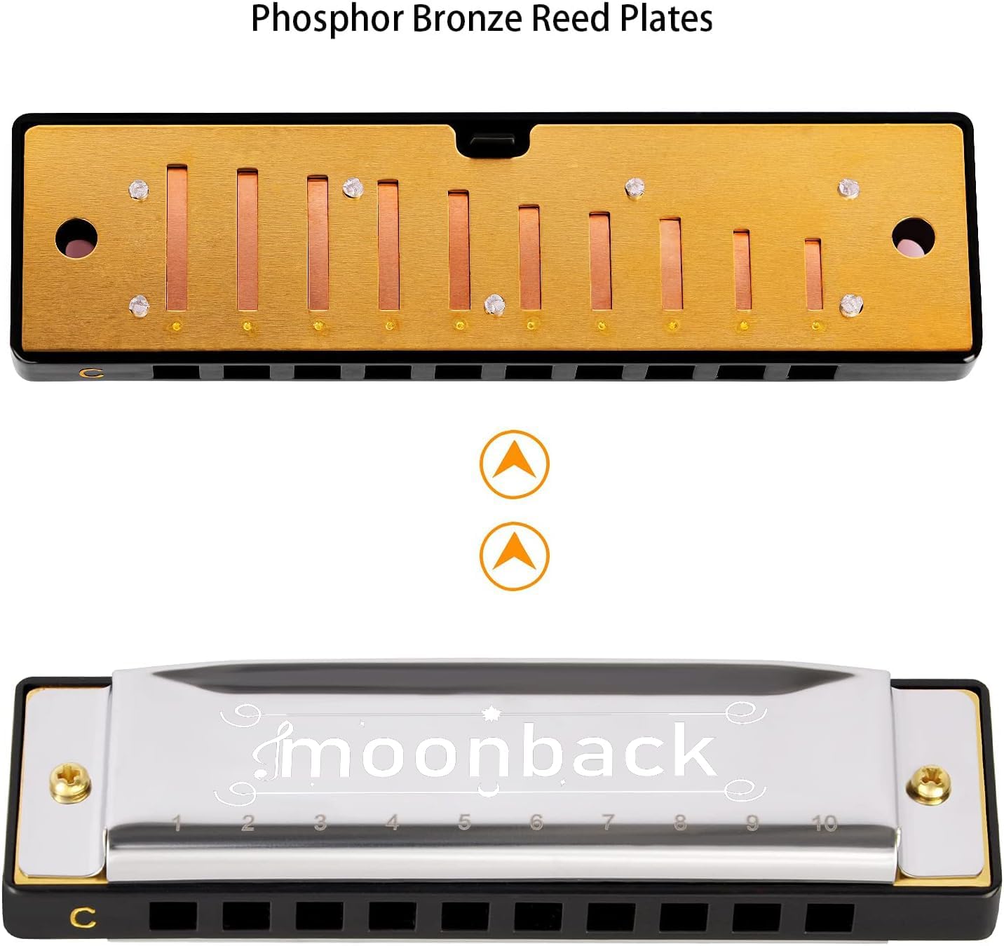 Harmonica Holder Set, 10 Holes Diatonic Blues Harmonica Key of C, Adjustable and Professional Harmonicas Holder Neck For Beginner, Students, Adult, Friends, Gift Update