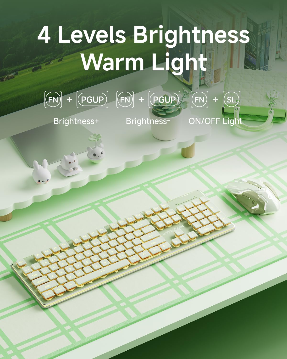 Keyboard with backlight brightness controls