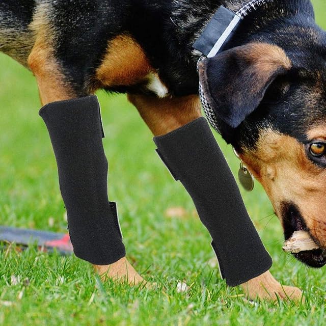 Foto 4 de 8 de Patas traseras para s de Apoyo Tirantes Envolturas de compresión para Patas Protectoras Mangas de corvejón…