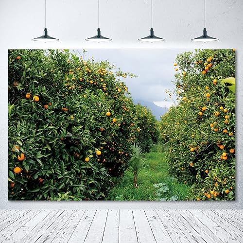 Miniatura 4 de Telón de fondo para fotografía de huerto naranja de 10 x 8 pies, árbol frutal, jardín, paisaje, fotografía, huerto, granja, campo, paisaje natural,