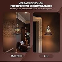 Vista 5 de Globos de repuesto para ventilador de techo, paquete de 4 globos de repuesto con patrón de crisantemo y adaptador de 1-5/8", ALUCSET de 4.5