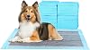 ScratchMe FluffyDream Super Absorbent Waterproof Training Mat for Dogs and Puppies, Burglary Pad for Pets, Pack of 100, Small Size, 56 x 56 cm, Blue