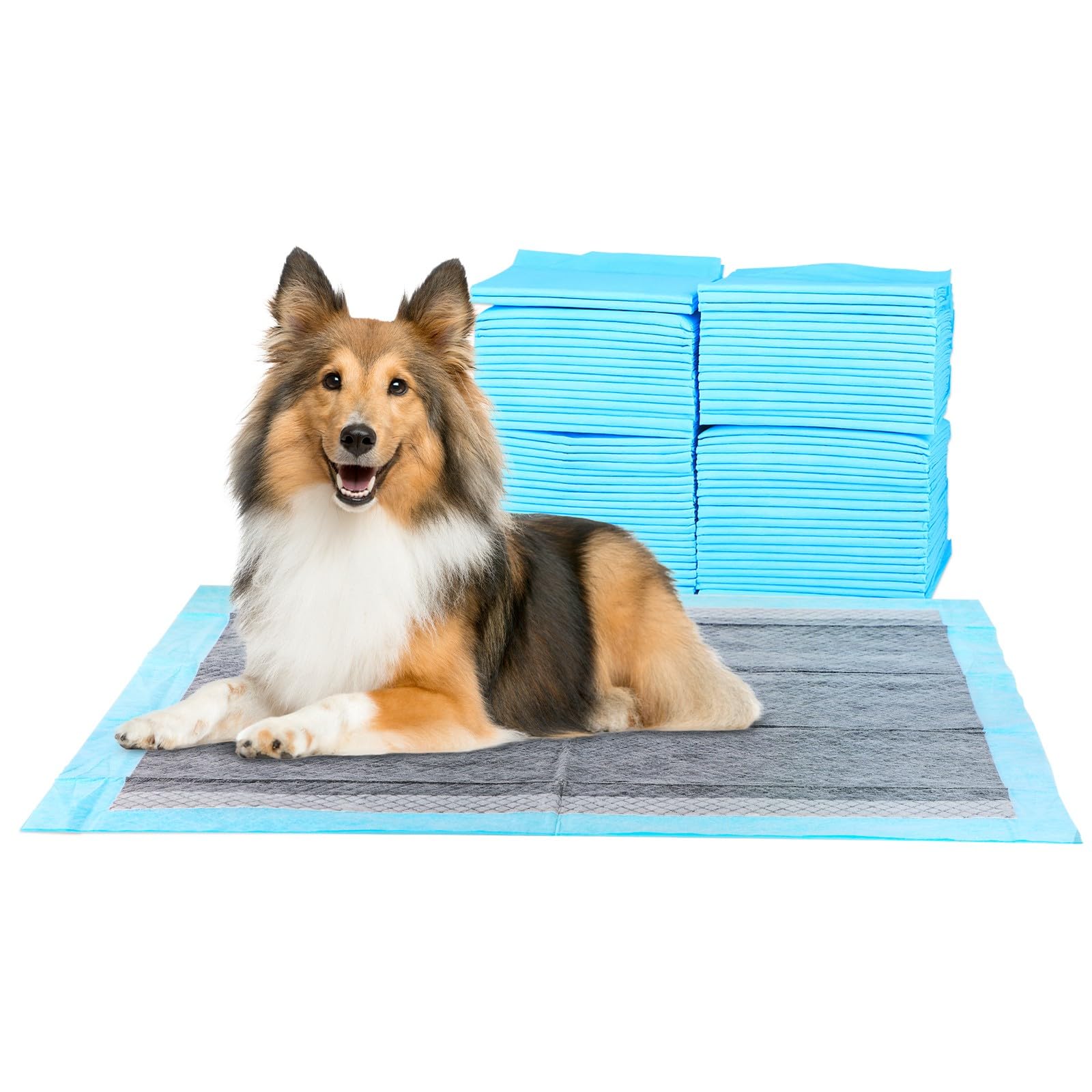 ScratchMe FluffyDream Super Absorbent Waterproof Training Mat for Dogs and Puppies, Burglary Pad for Pets, Pack of 100, Small Size, 56 x 56 cm, Blue