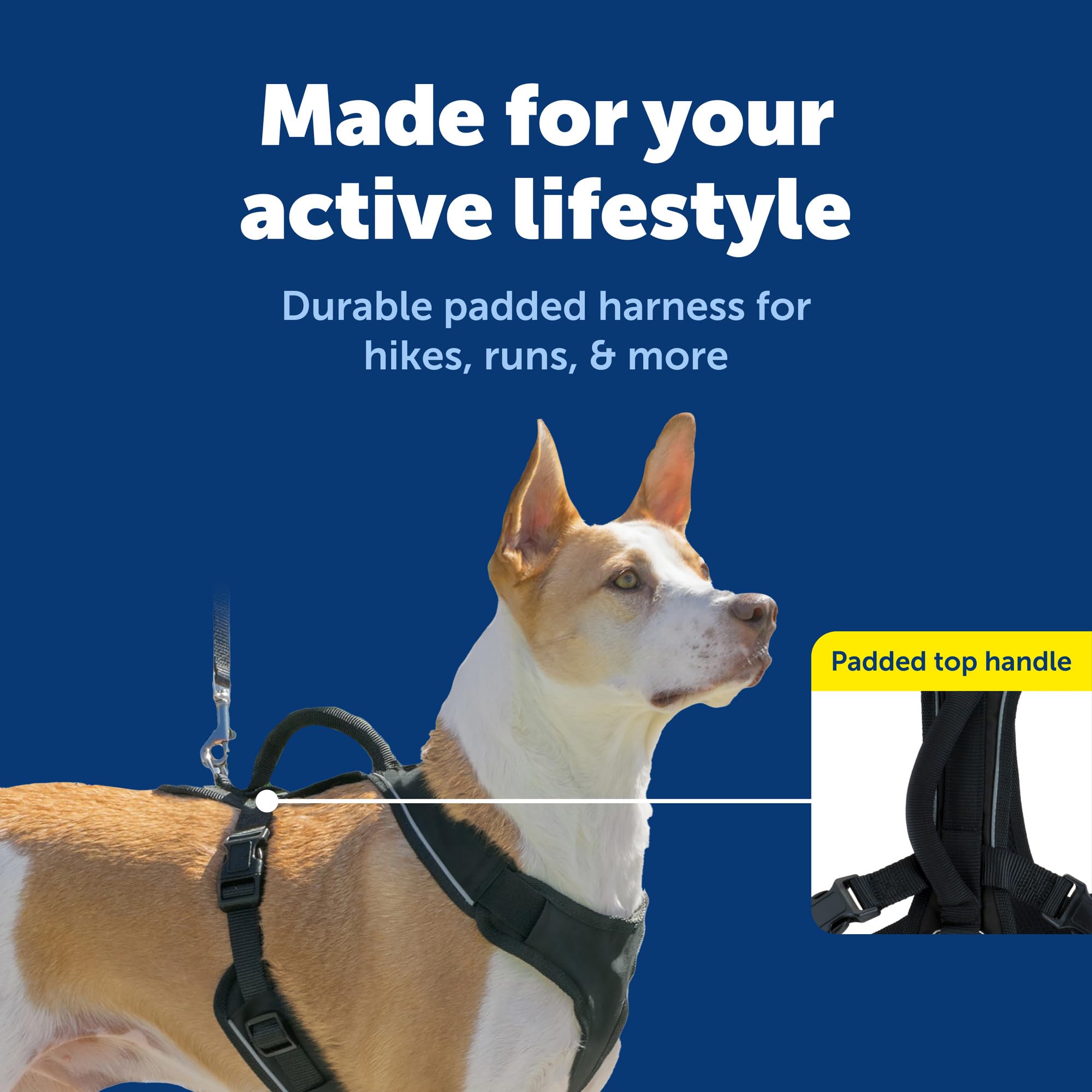 PetSafe EasySport - Harnais pour Chien - Réglable - Rembourré - avec poignée de contrôle et Passepoil réfléchissant - Taille M - Noir