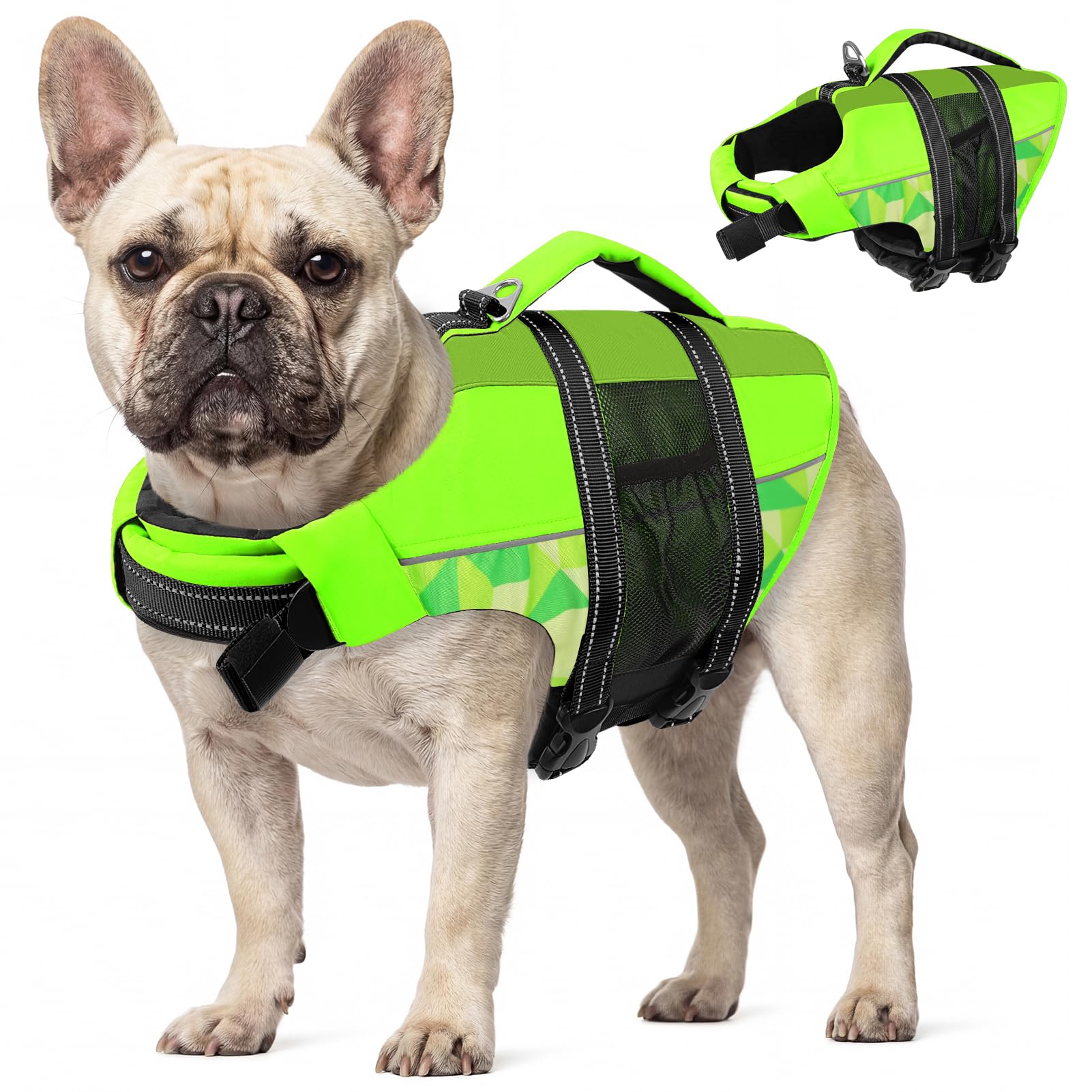 CITÉTOILE Giubbotti di Salvataggio per Cani, Regolabile Salvagente per Animali con Manico, Costume da Bagno di Sicurezza in Acqua per la Vela in Piscina Sulla Spiaggia, verde, M