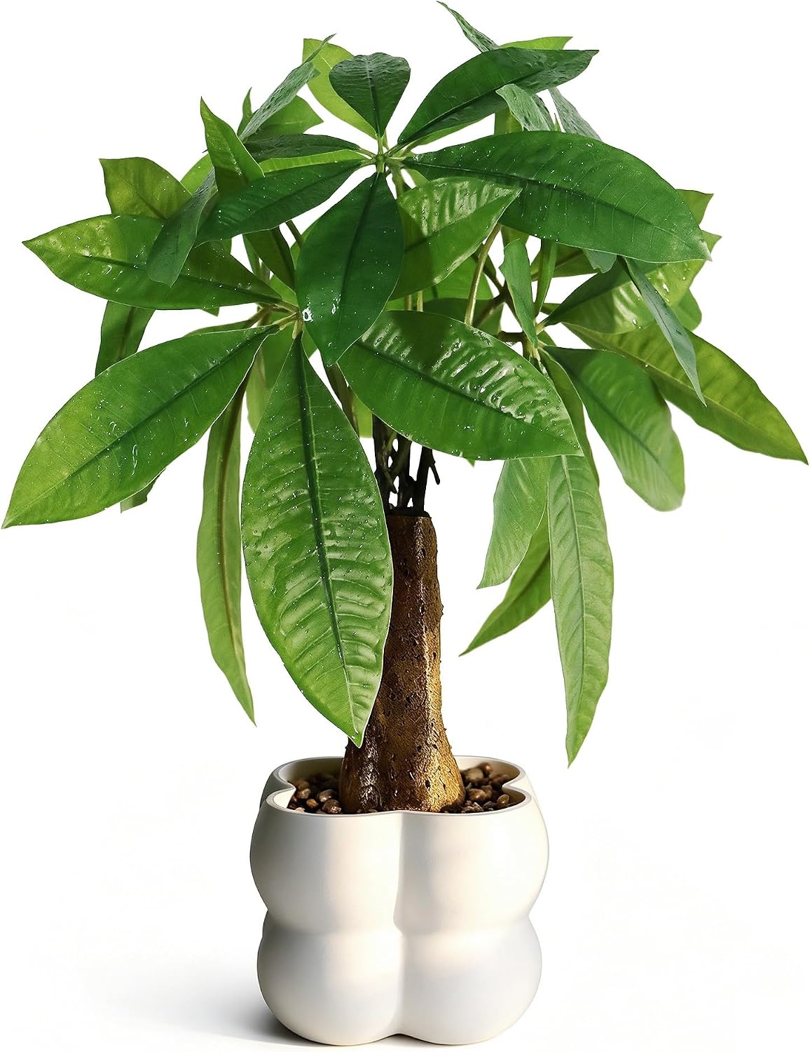 16 inch YOERM artificial money tree bonsai with pot