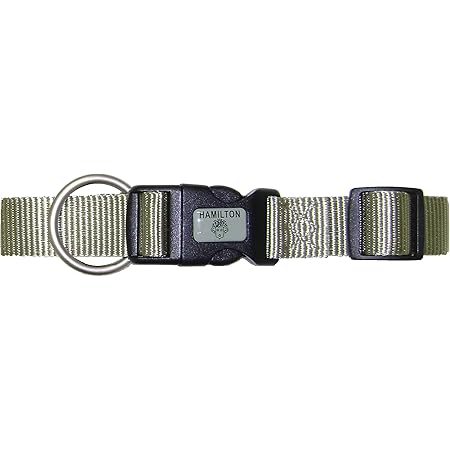 hamilton dog collars amazon