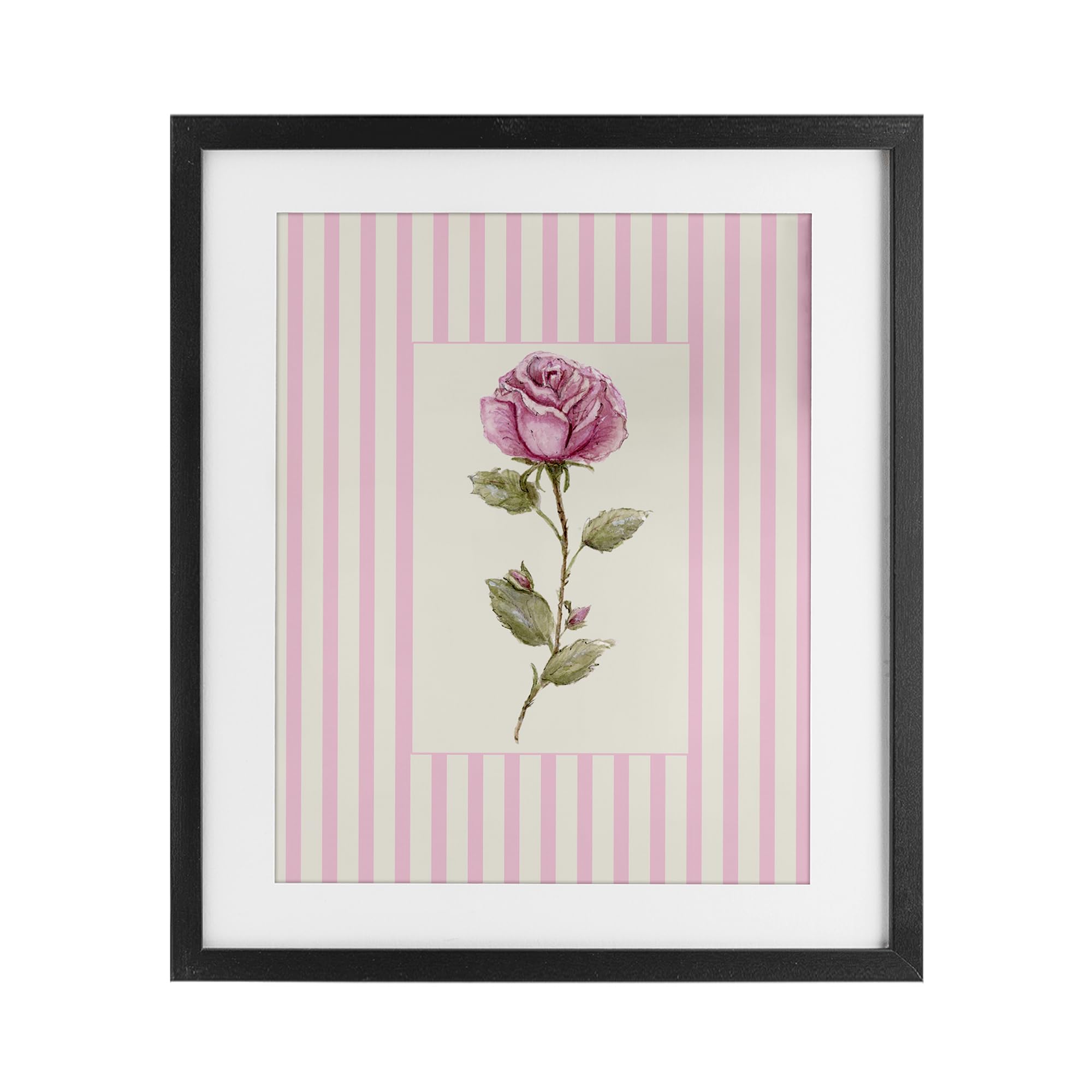 'Pink Stripe Rose'| Framed Print Under Glass