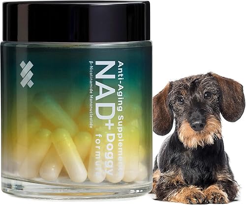 Miniatura 1 de Timeplus+ NMN Doggy Formula - Suplementos multifuncionales para perros, para la salud del corazón de las mascotas, apoyo cognitivo, activa la