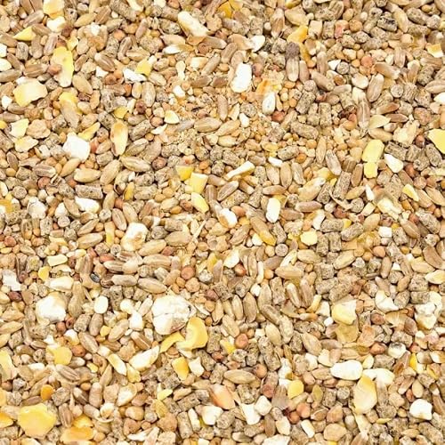 Alimento para codornices ponedoras, 10 kg, nutrientes para rendimiento estable y cáscaras de huevo sólidas