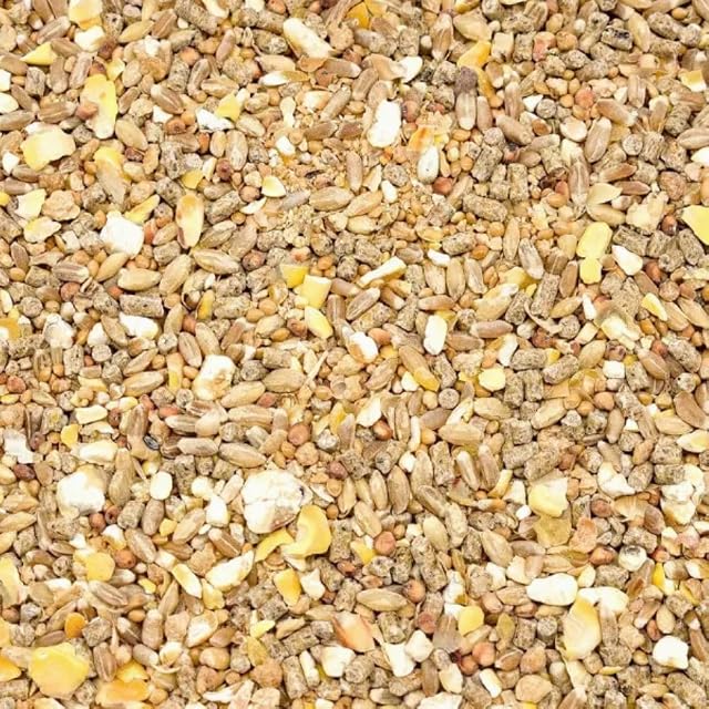 Alimento para codornices ponedoras, 10 kg, nutrientes para rendimiento estable y cáscaras de huevo sólidas
