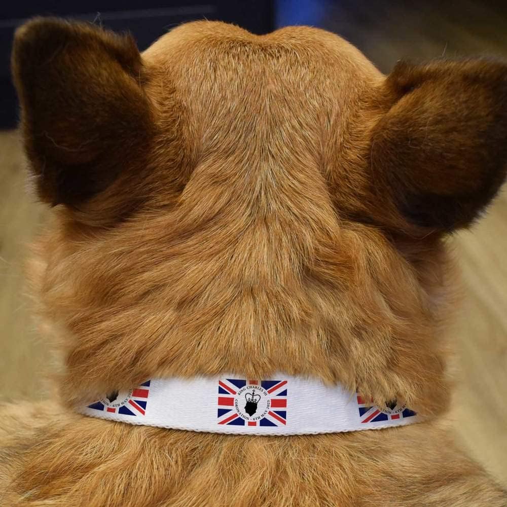 Azeeda Small 'King Charles Coronation Union Jack Flag' Dog Collar (PR00037899)