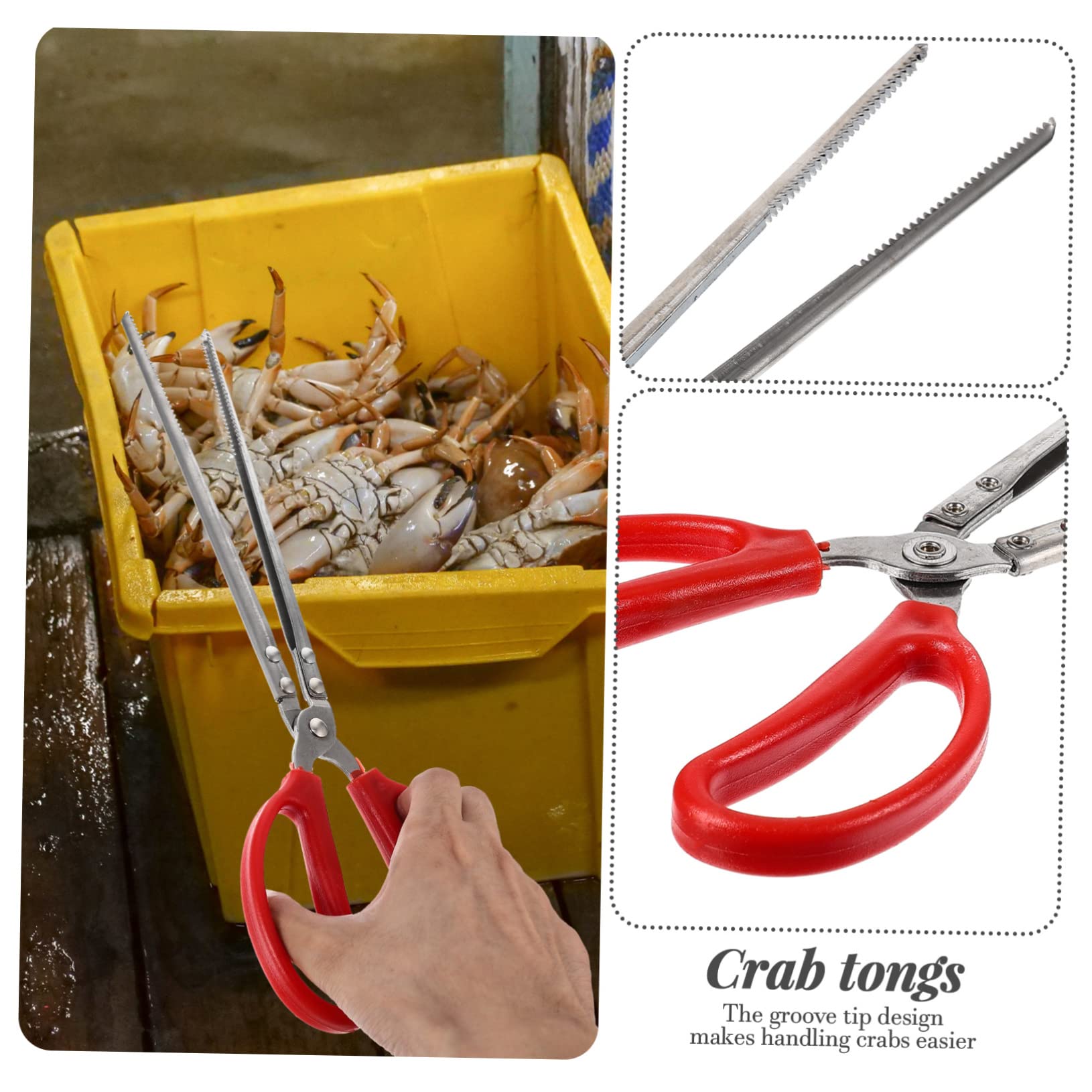 Pinze Da Cucina In Acciaio - Per Pesce E Crostacei