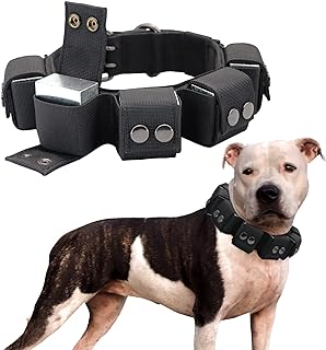Walktime, Dog Collar, Tactical Dog Collar, Weighted Dog Collar with Weights for Dog Training and Exercise Equipment - Free Weights, Small, Medium, Large Dogs