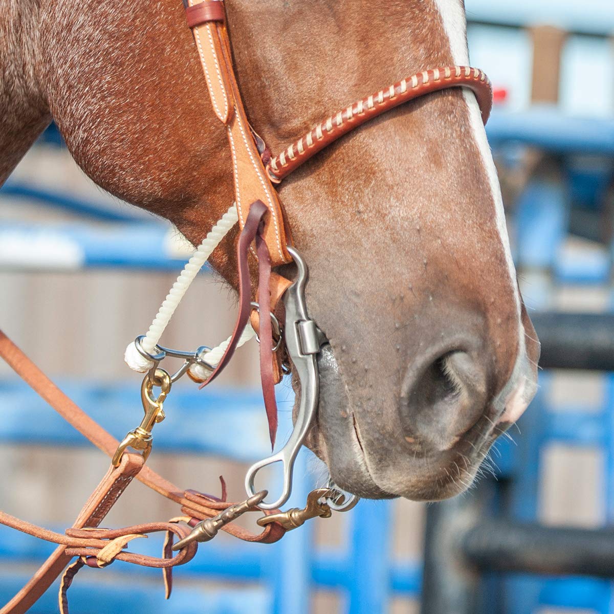 Shank Bit Horse atelieryuwa.ciao.jp