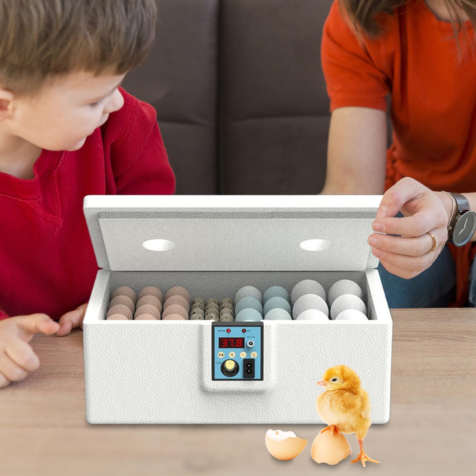 Incubadora Huevos Gallina Automatica Profesional, Incubadora para Huevos De Gallina Capacidad 10-25 Unidades, Criadora Avícola Inteligente con Volteo para Uso En Laboratorios Y Aulas