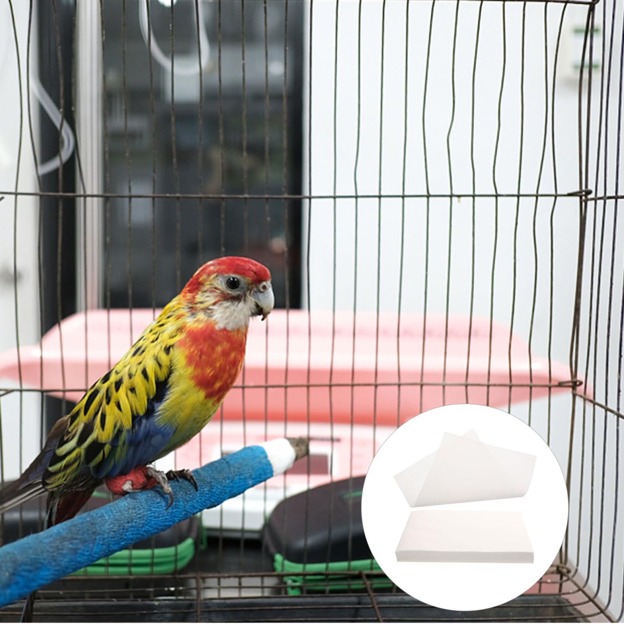 minkissy Doublure De Cage Oiseau Absorbante Non Tissé 13.78X9.84In Jetable Tapis Hygiénique Respirant pour Perroquet Protection Quotidienne