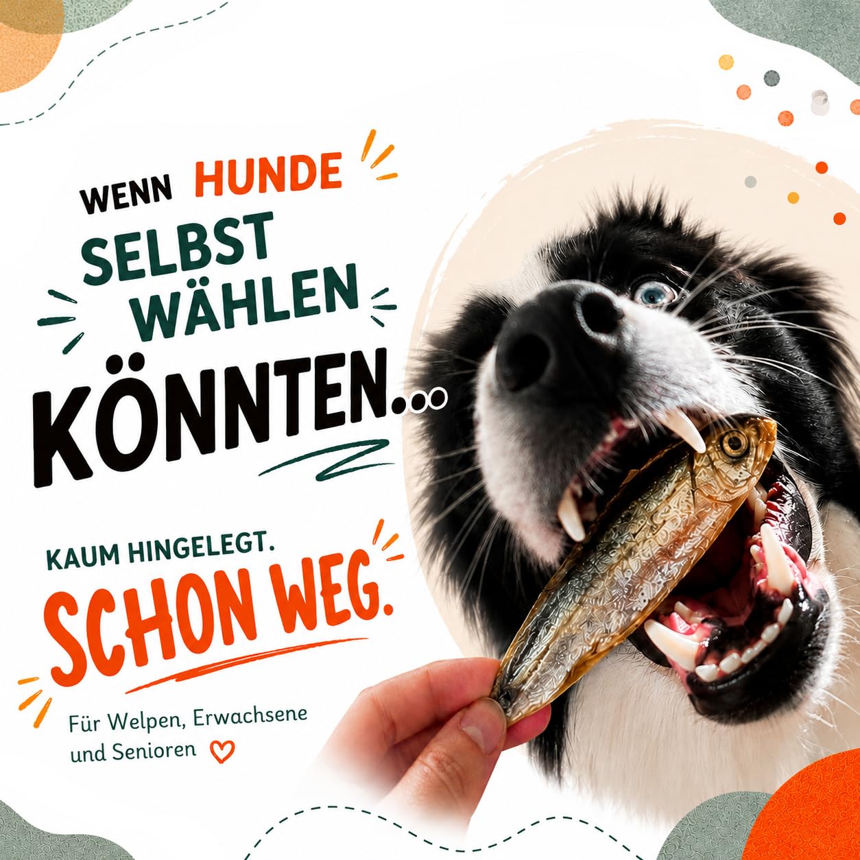 100% Hering getrocknet für Hunde, Natürlicher Fischsnack & Trockenfisch, Reich an Omega-3, Monoprotein, Ohne Zusatzstoffe, (1kg)