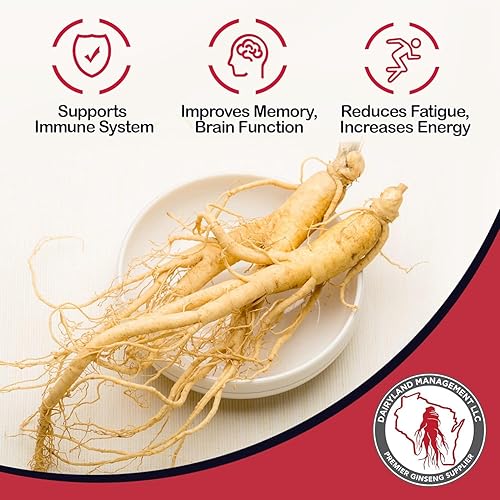 Miniatura 3 de Polvo de ginseng siberiano de 1000 mg 41 extracto de raíz de Eleuthero Suplemento diario sin otros ingredientes añadidos, suplementos de ginseng de