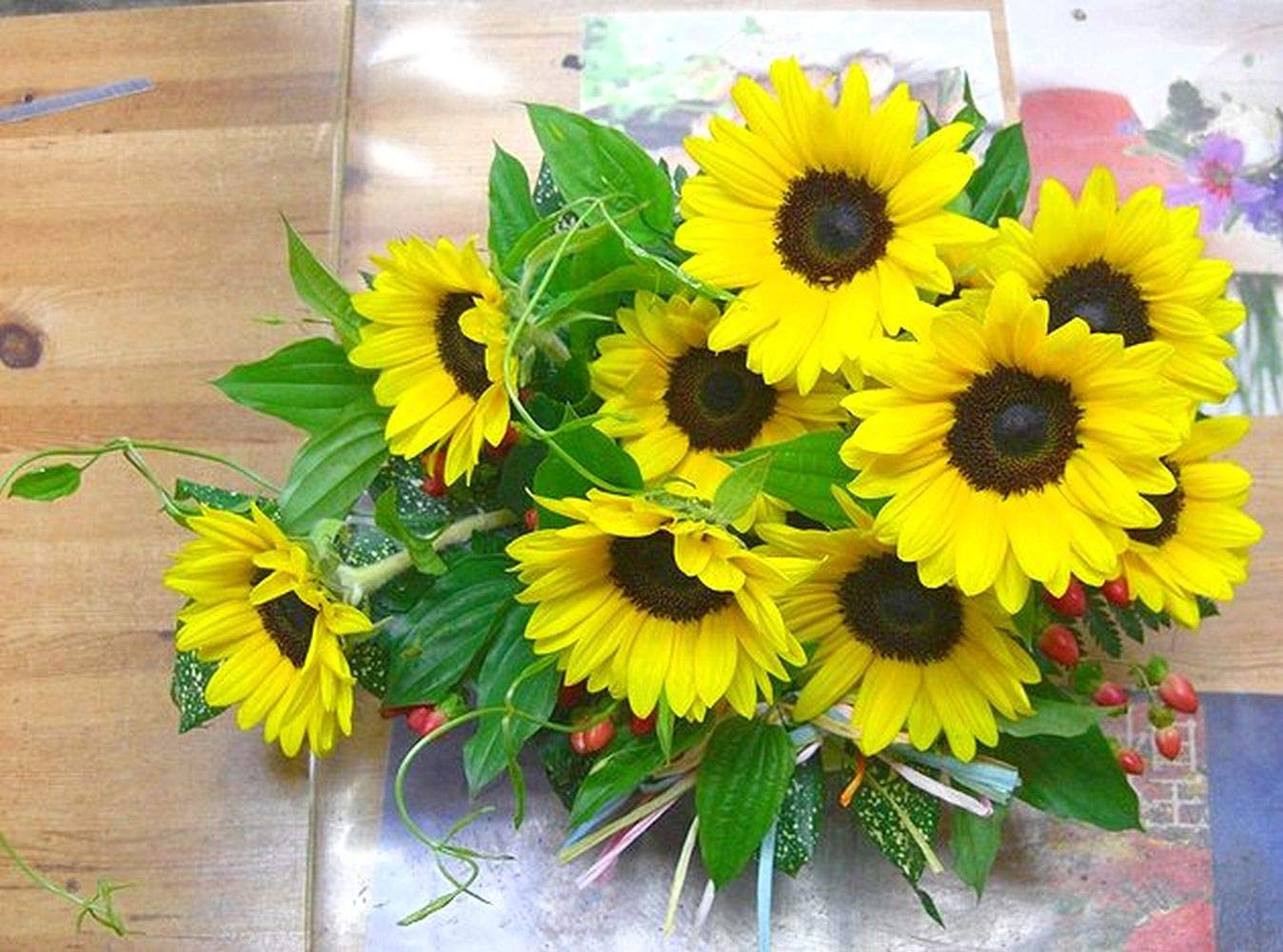 【増量♡】ひまわり 生花 生花】ひまわり サンリッチアップオレンジ【60cm/愛知県